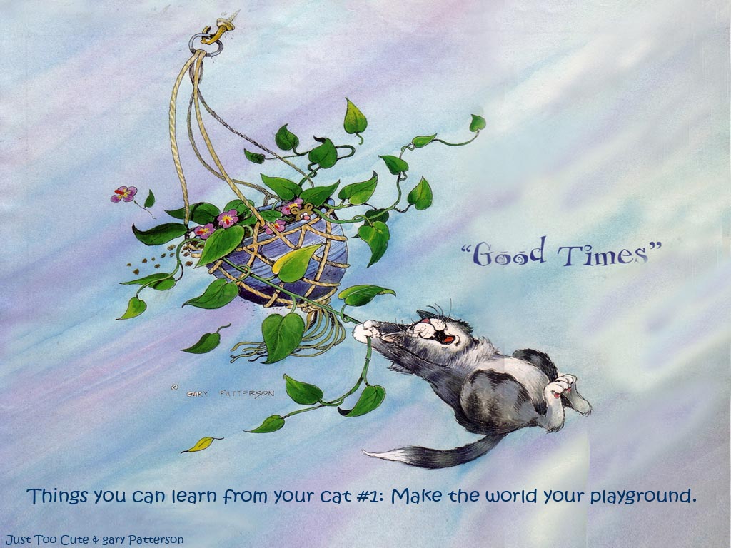 17-Good-Times-1024x768