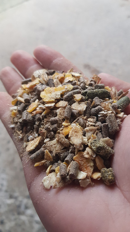 Alpaca muesli