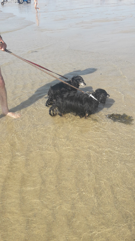 [Image: 20200811-172450.jpg]