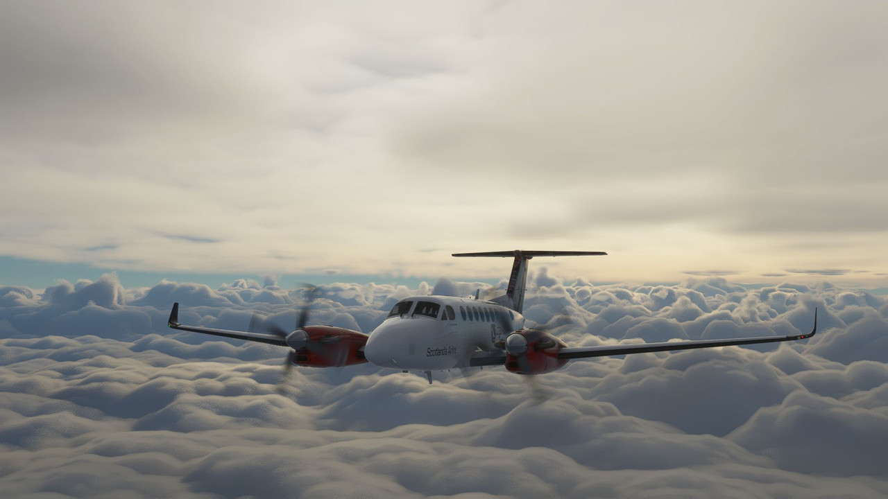 L-1.jpg