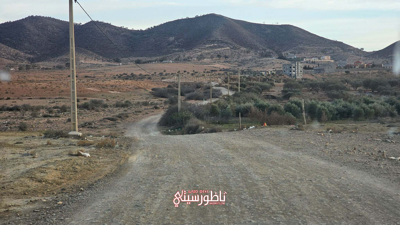 476962929_1441891957262230_6358642446526328281_n (1)