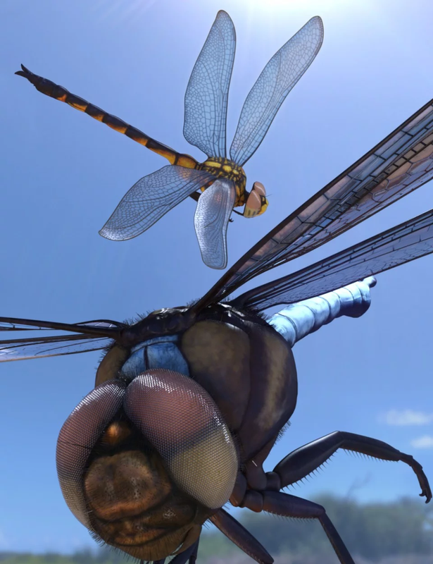 meshworkz dragonfly 00 main daz3d