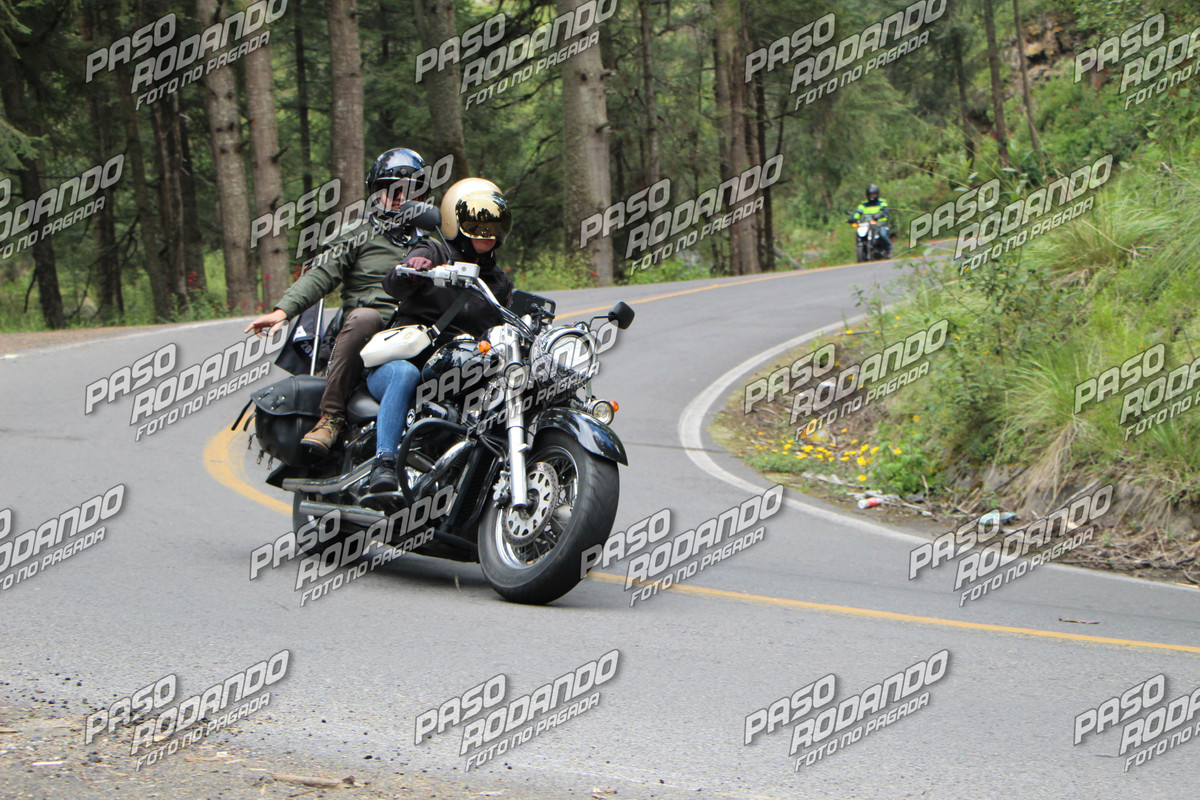 IMG 1245 wm 113244 6000000001 watermarked — Postimages
