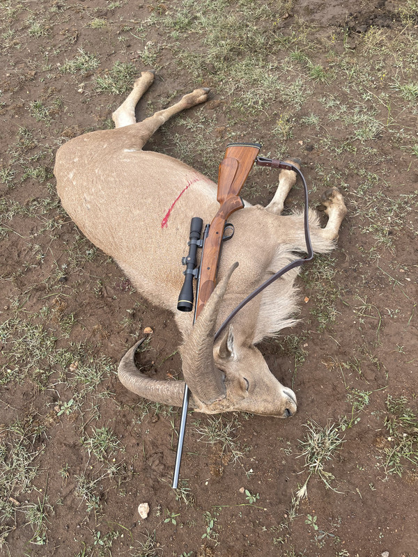 303A4F1F-E0FA-45A0-9239-ACCDEBC43560