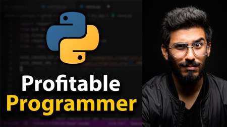 The Profitable Programmer