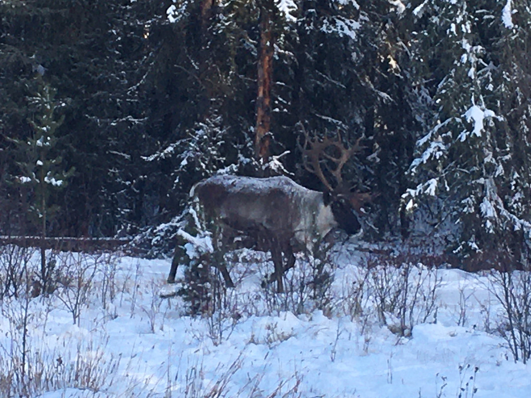 A7EF3803-77CE-43DC-9438-F2C4AD4D46DE