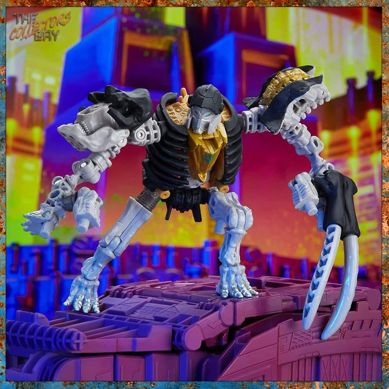 280094929_512259843928227_2873386670525026434_n