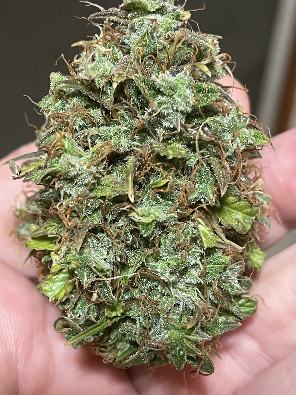 1C82C170-5EBA-47D1-B9BF-F3B41225F0FC