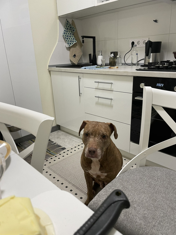 IMG-f0badfafdde80d14bcb277487e45875a-V