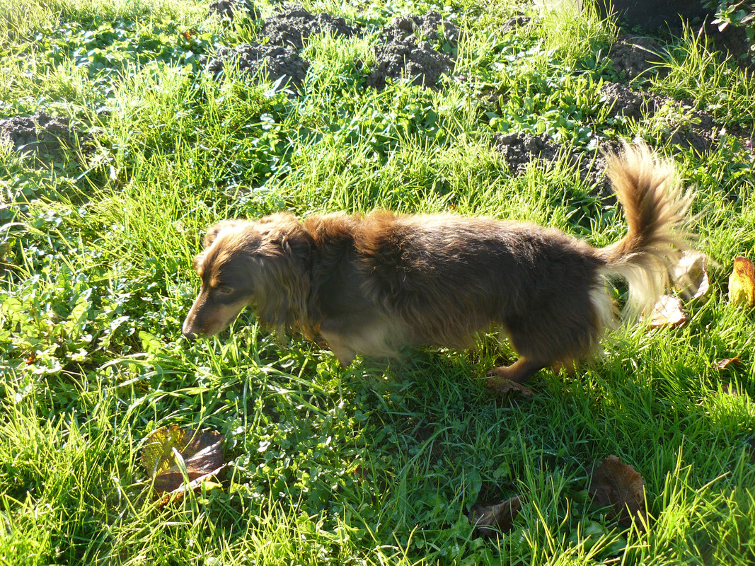 [Image: P1240538.jpg]