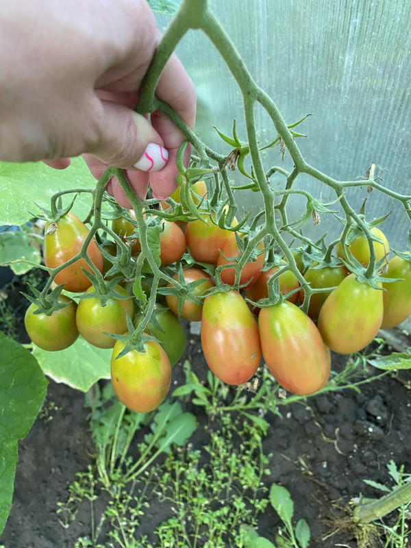 214F81C8-737C-4B2F-989C-EC8C03FD3917