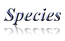species button