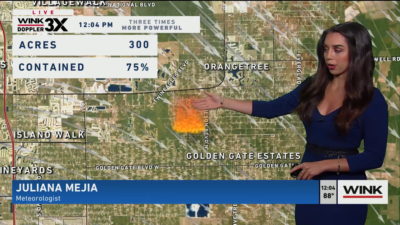 03.06 - 17.00.00 - The WINK Noon News  ᴺᵉʷ. Midday news update..ts_snapshot_11.07.695