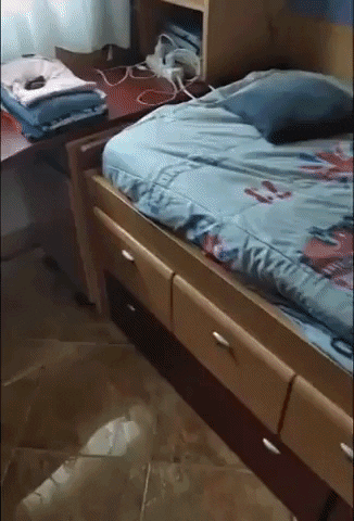 https://i.postimg.cc/ZY9B2nRk/6.gif