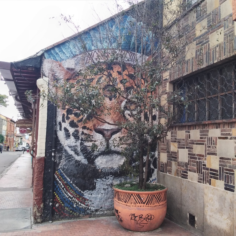 Зимовка 2026, полтора месяца в Колумбии.