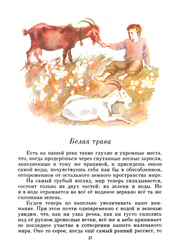 1986-page-0029