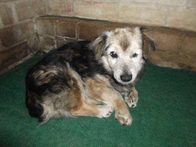 E2C6169D-6031-4B4B-B962-58B0C45A97B8