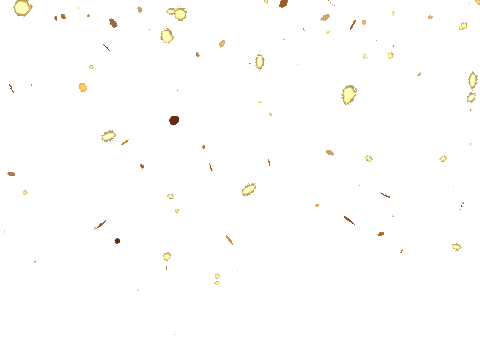 [Image: sparkle-confetti.gif]