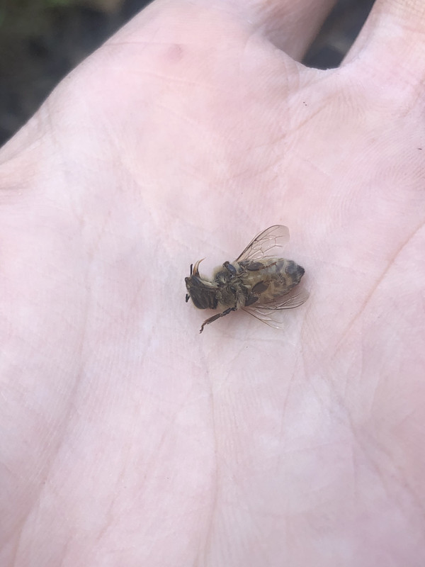 67D2041D-199F-40CA-AEC5-D47183967EA0