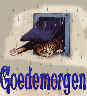 dinsdag