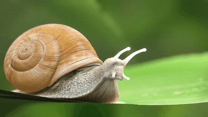 GIF-20251001-194840-859.gif