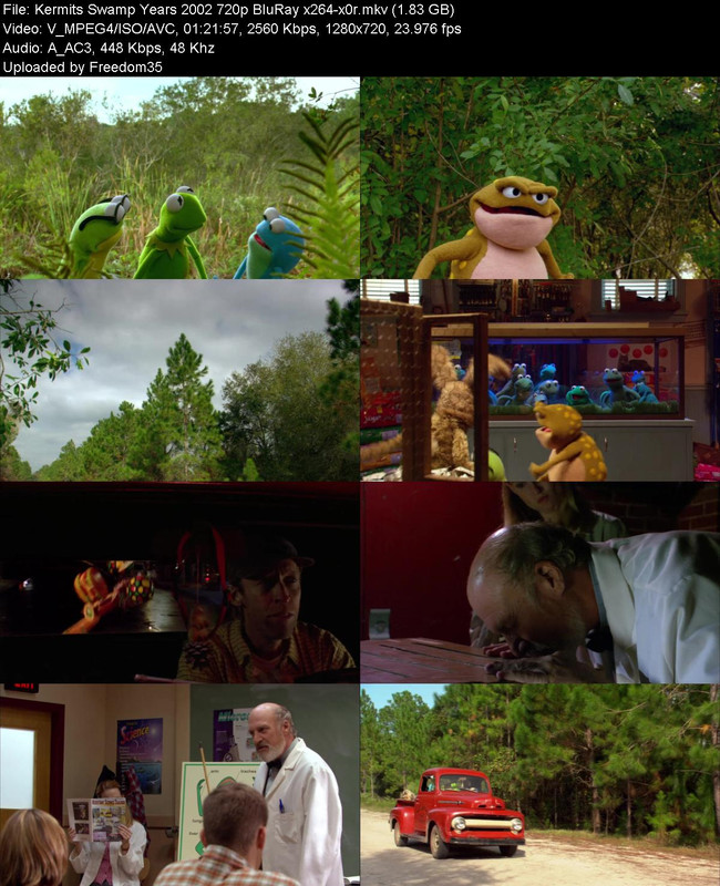 Kermits-Swamp-Years-2002-720p-Blu-Ray-x2