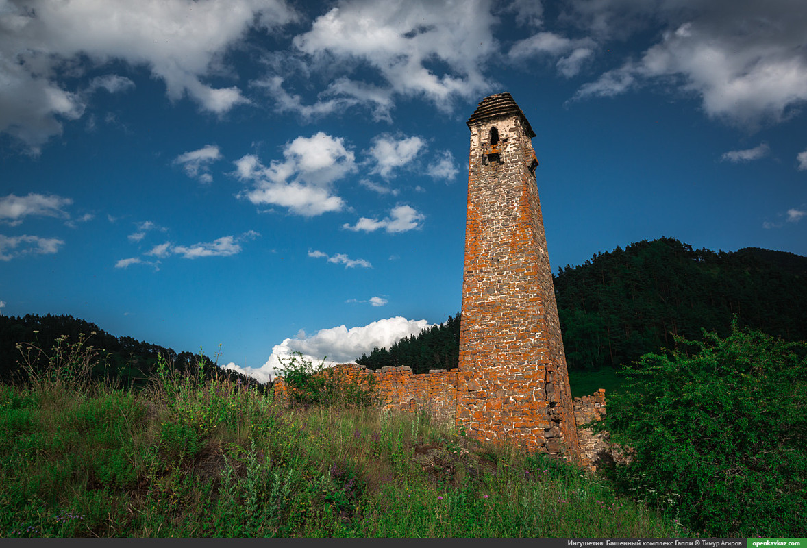 E1707114-4895-4D18-B099-50A853865CDD