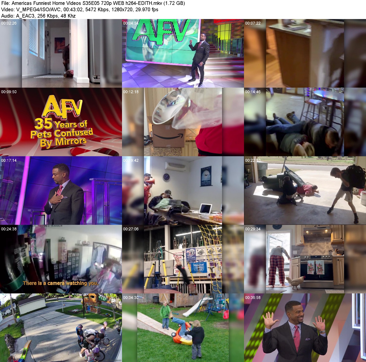y147odbw9vtv.jpg