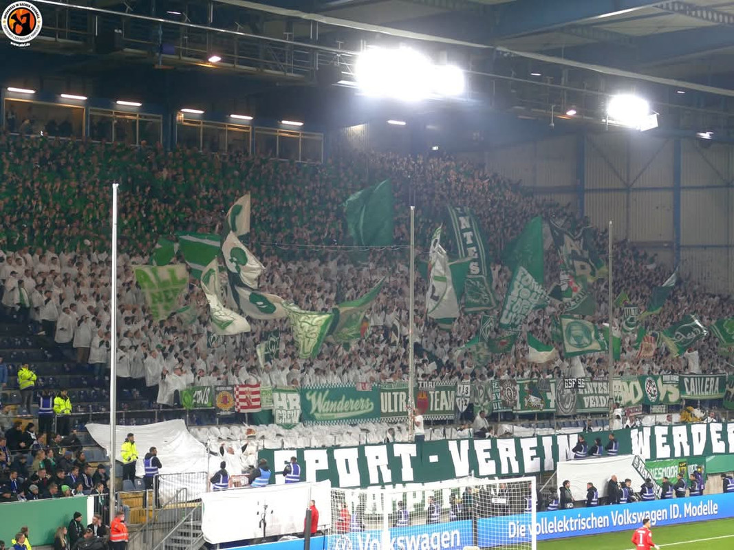 FB_IMG_1740568663507