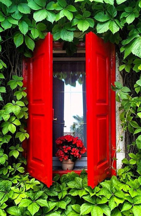 redshutters.jpg