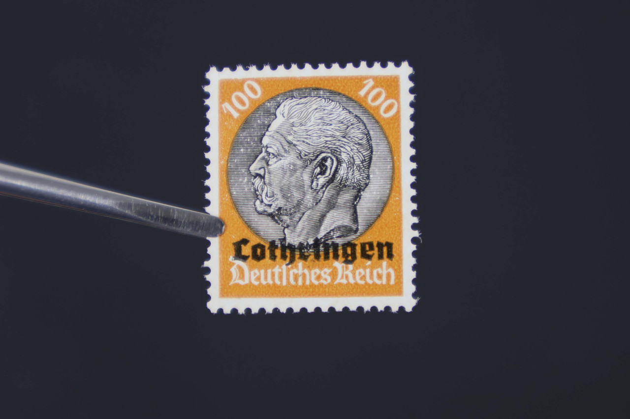 IMG 0524
