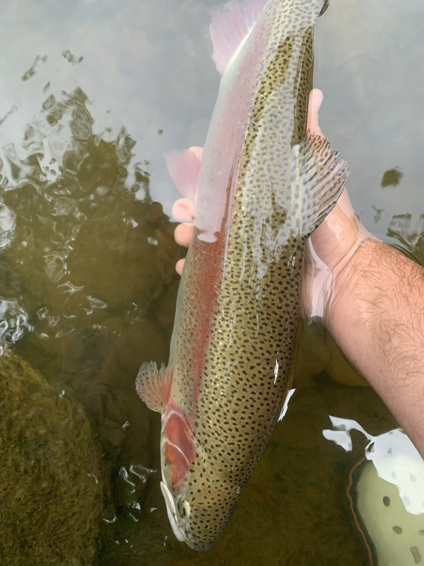 12EC1693-0C54-45C0-9010-47509C264EC9