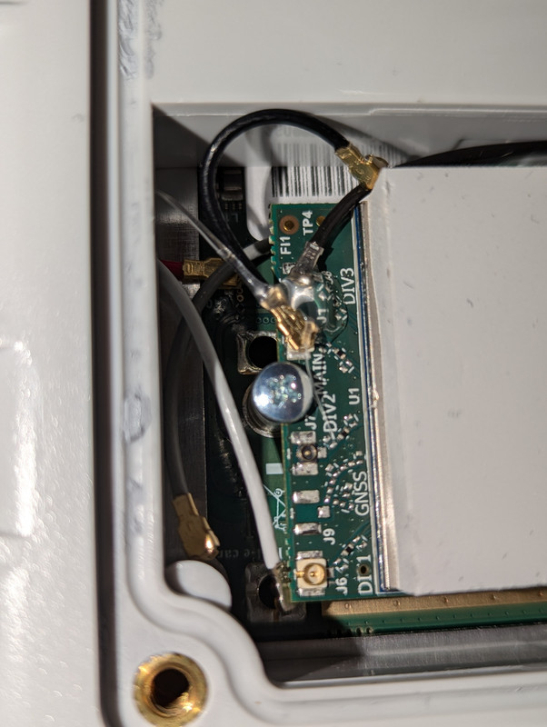 [Image: PXL-20240803-190432827.jpg]