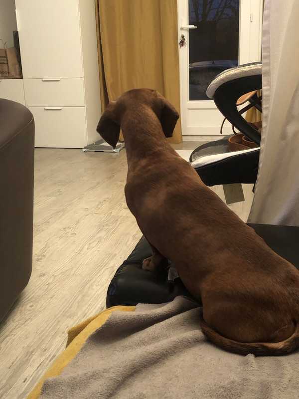 [Image: IMG-3147.jpg]