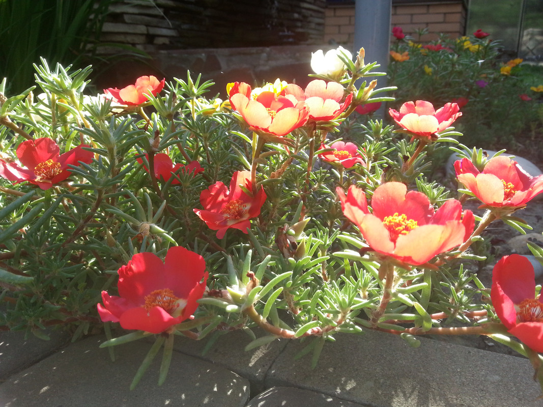 20180630_073827