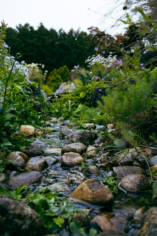 korea2024LRexport-38