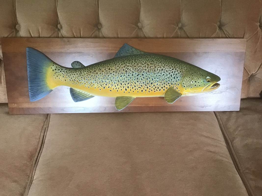 5BE97E50-E265-4613-A558-A37674213477