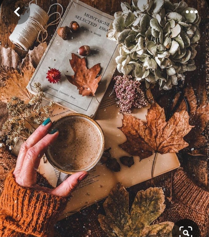 Screenshot_20230905_015836_Pinterest