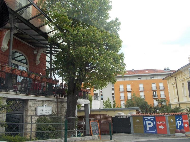Slika