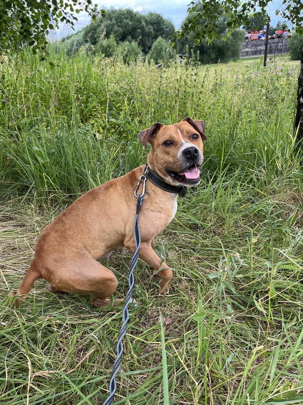 720E6944-8214-4769-AD75-82356F9BBCDC