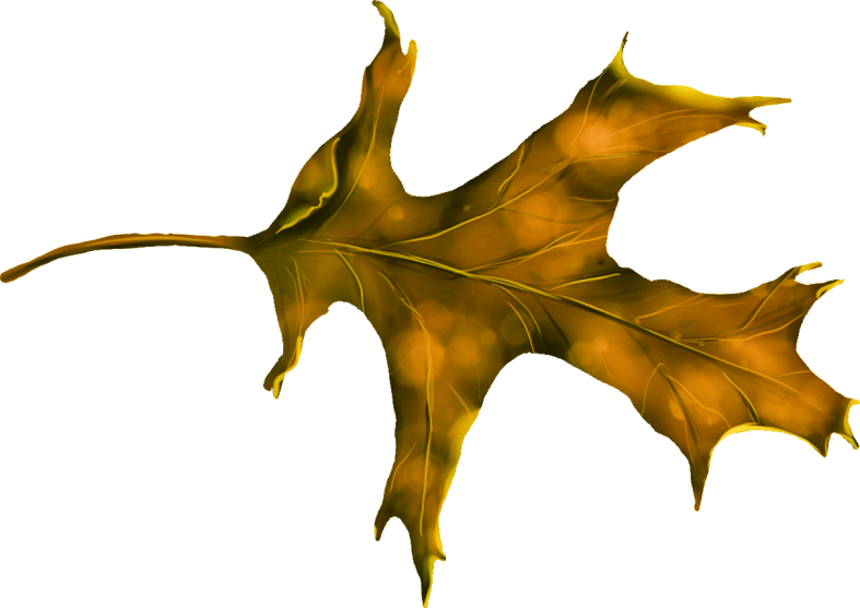 Halloweenpumpkitdnelves3