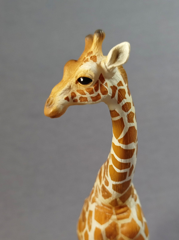 Eikoh - Animal Infinity - Giraffe IMG-20210306-080015