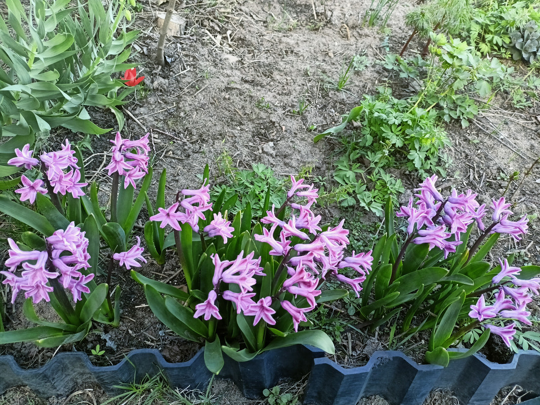 IMG20250419170756