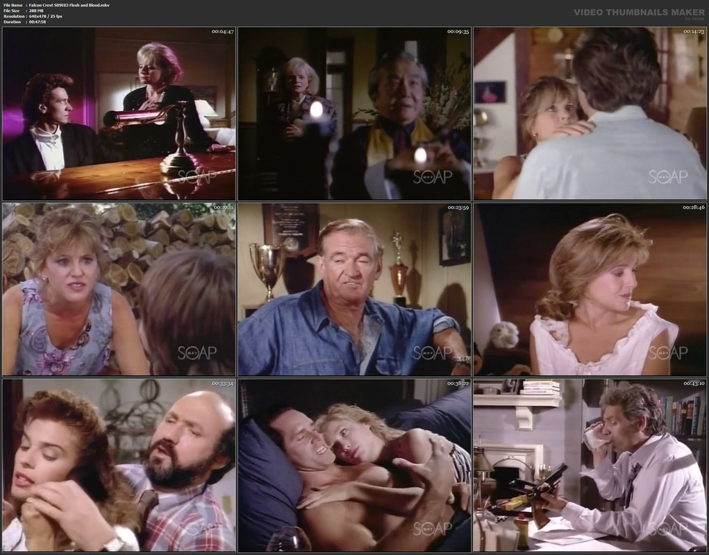 Falcon Crest S09E03 Flesh and Blood.mkv