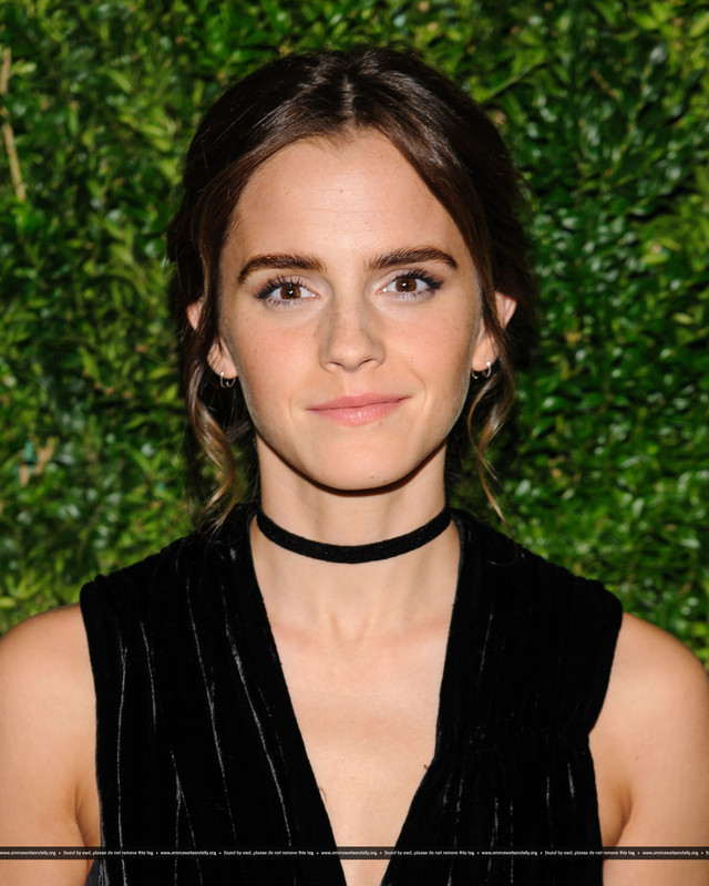 emmawatson-updates.com (38)