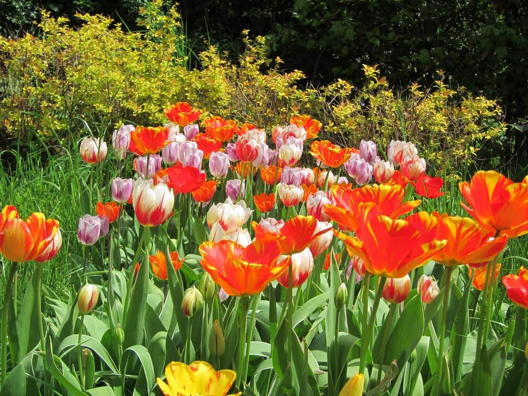 FB-IMG-1699734817506