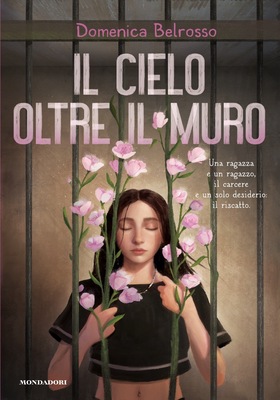 Domenica Belrosso - Il cielo oltre il muro (2026)