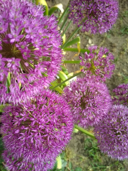 kepatmeretezes_hu_31687409_1733256260093931_7394014065258921984_