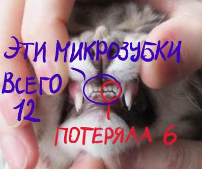 Снимок экрана 2024-08-26 033833лл