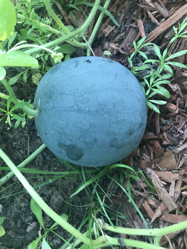 ACFE5133-85B2-486C-B1EC-BA1B6A05AF64